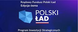 Ikona logo Polski Ład edycja ósma